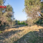 Οικόπεδο 2000 τ.μ., Προς πώληση, Ερίνεο, Καμάρες - 1