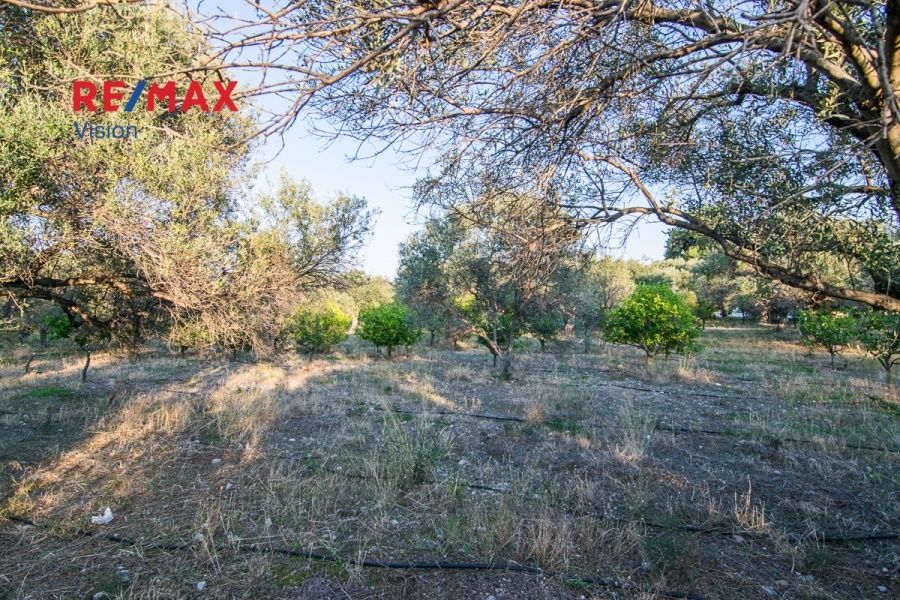 Οικόπεδο 2000 τ.μ., Προς πώληση, Ερίνεο, Καμάρες - 2