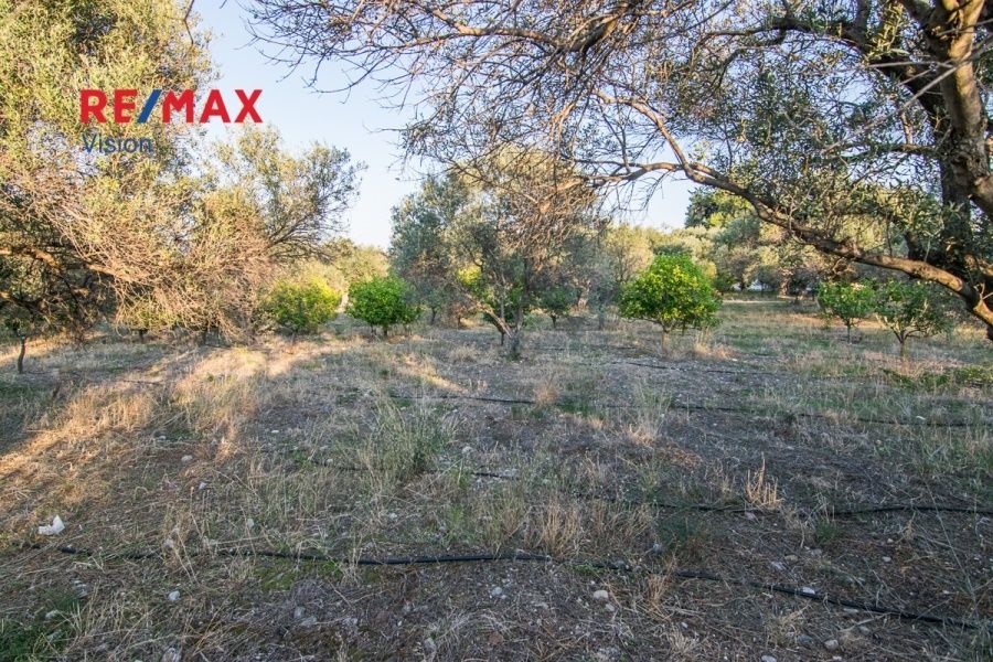 Οικόπεδο 2000 τ.μ., Προς πώληση, Ερίνεο, Καμάρες - 3