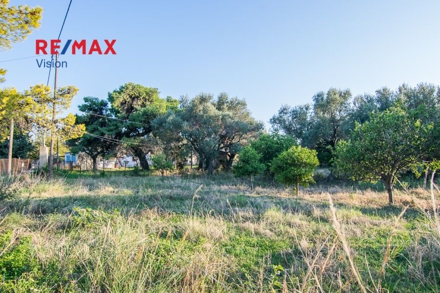Οικόπεδο 1000 τ.μ., Προς πώληση, Ερίνεο, Καμάρες - 2