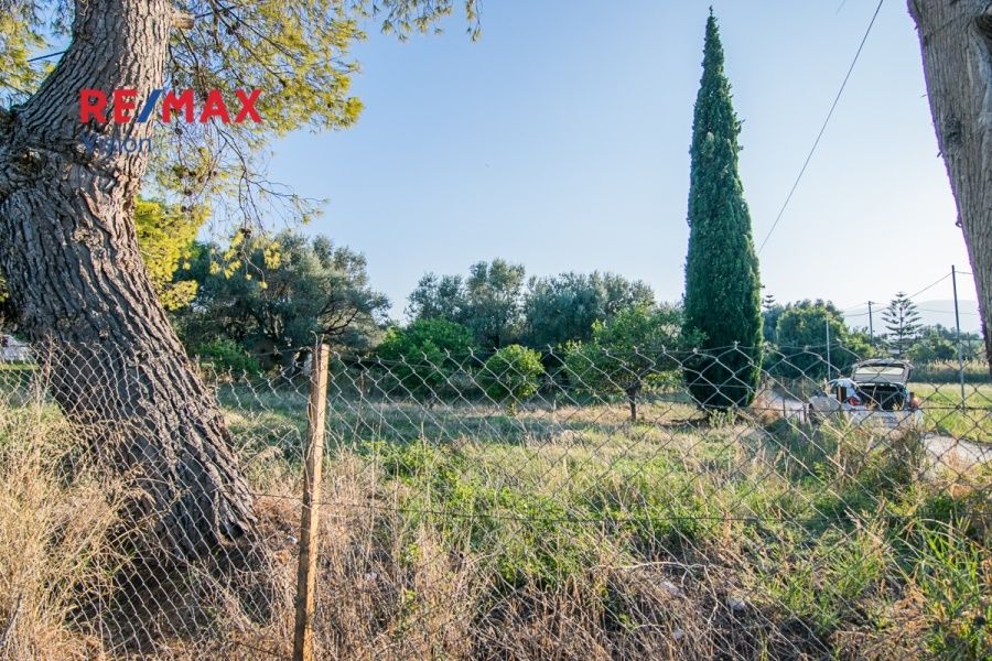 Οικόπεδο 1000 τ.μ., Προς πώληση, Ερίνεο, Καμάρες - 3