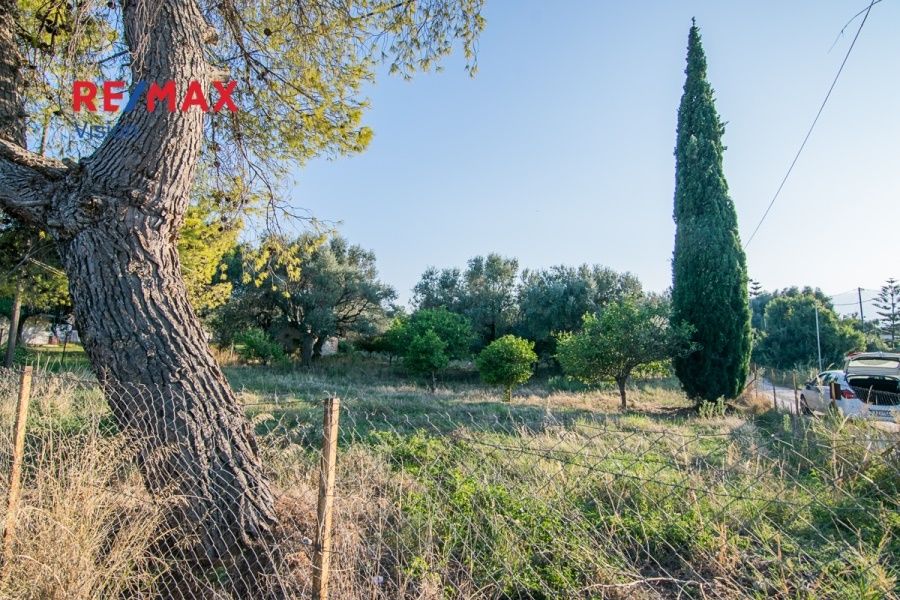 Οικόπεδο 1000 τ.μ., Προς πώληση, Ερίνεο, Καμάρες - 4