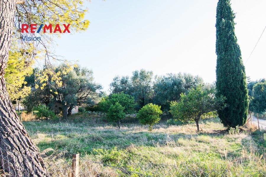 Οικόπεδο 1000 τ.μ., Προς πώληση, Ερίνεο, Καμάρες - 5