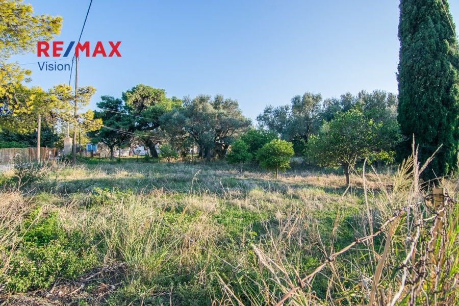 Οικόπεδο 1000 τ.μ., Προς πώληση, Ερίνεο, Καμάρες - 6