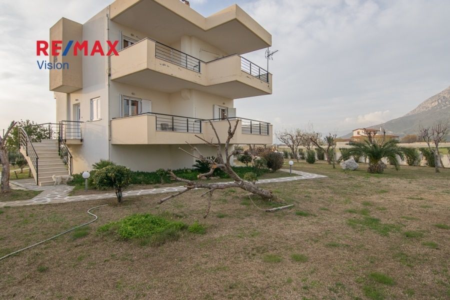 Οικιστικό Συγκρότημα 368 τ.μ., Προς πώληση, Χάλκεια, Κρυονέρι - 14