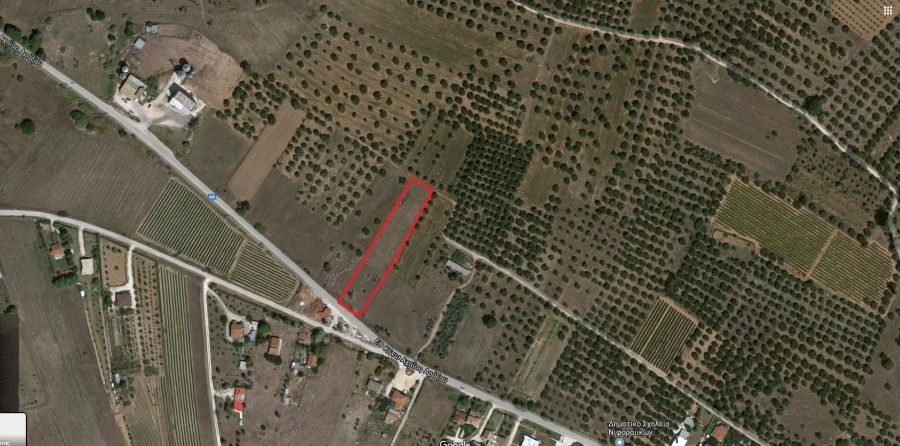 Οικόπεδο 4800 τ.μ., Προς πώληση, Δυτικής Αχαΐας, Νιφοραίικα - 2