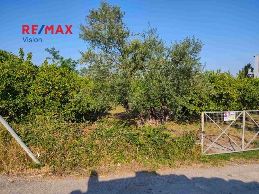 Οικόπεδο 1320 τ.μ., Προς πώληση, Αιγιάλεια, Λόγγος - 2