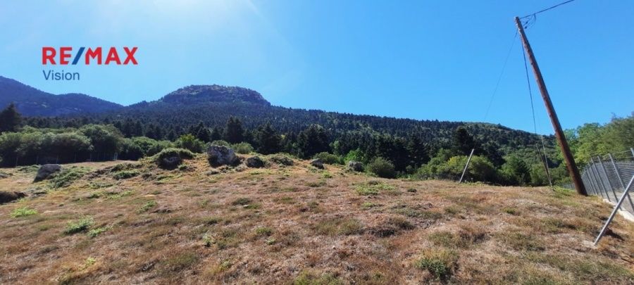 Οικόπεδο 5134 τ.μ., Προς πώληση, Καλάβρυτα - 7