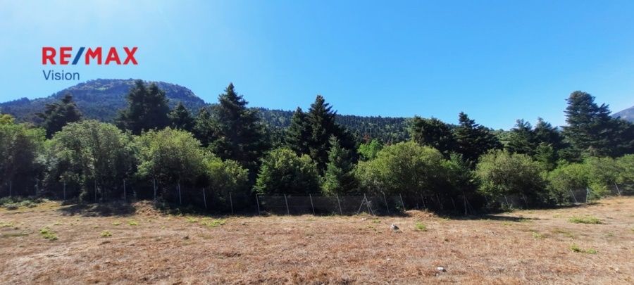 Οικόπεδο 5134 τ.μ., Προς πώληση, Καλάβρυτα - 8