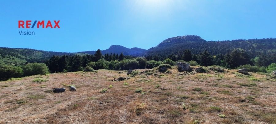 Οικόπεδο 5134 τ.μ., Προς πώληση, Καλάβρυτα - 9