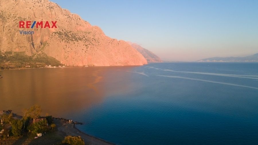 Οικόπεδο 45000 τ.μ., Προς πώληση, Χάλκεια, Κρυονέρι - 2