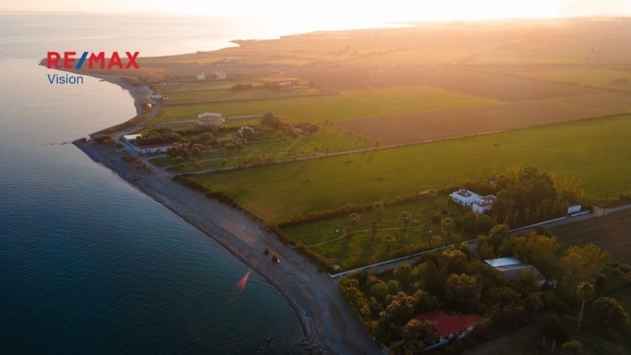 Οικόπεδο 45000 τ.μ., Προς πώληση, Χάλκεια, Κρυονέρι - 3