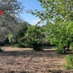 Οικόπεδο 800 τ.μ., Προς πώληση, Πάτρα, Εγλυκάδα (543098) - 1