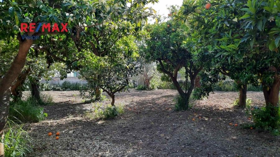 Οικόπεδο 800 τ.μ., Προς πώληση, Πάτρα, Εγλυκάδα - 5