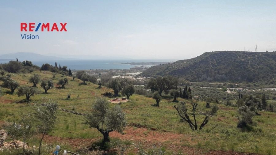 Οικόπεδο 10000 τ.μ., Προς πώληση, Αιγιάλεια, Ροδοδάφνη - 10