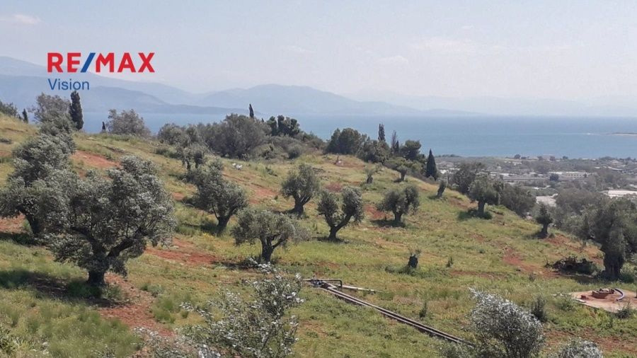 Οικόπεδο 10000 τ.μ., Προς πώληση, Αιγιάλεια, Ροδοδάφνη - 6