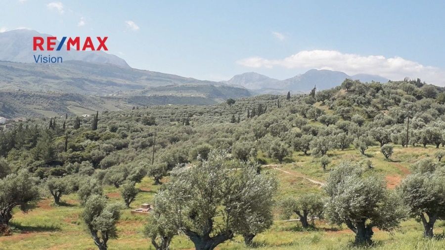 Οικόπεδο 10000 τ.μ., Προς πώληση, Αιγιάλεια, Ροδοδάφνη - 7