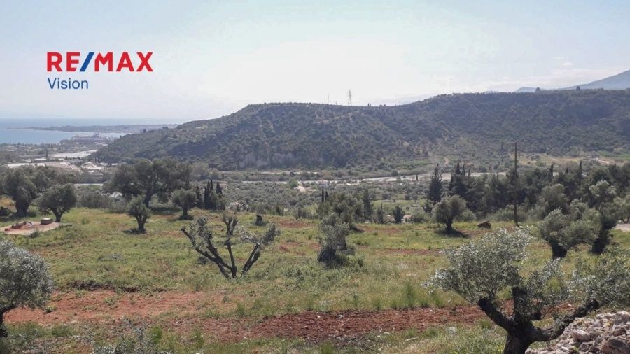 Οικόπεδο 10000 τ.μ., Προς πώληση, Αιγιάλεια, Ροδοδάφνη - 8