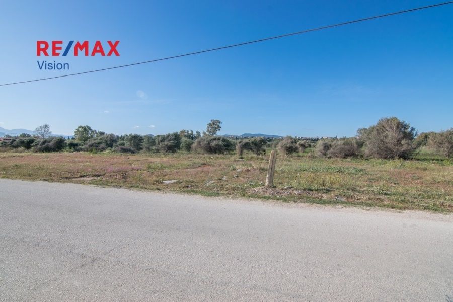 Οικόπεδο 11717 τ.μ., Προς πώληση, Δυτικής Αχαΐας, Κάτω Αχαΐα - 11