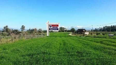 Αγροτεμάχιο 2000 τ.μ., Προς πώληση, Δυτικής Αχαΐας, Νιφοραίικα - 2