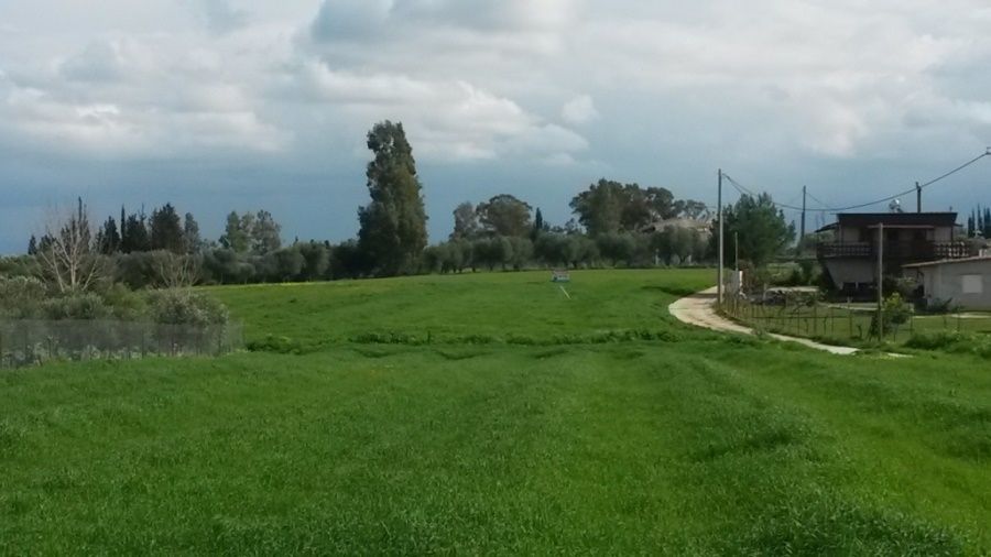 Αγροτεμάχιο 2000 τ.μ., Προς πώληση, Δυτικής Αχαΐας, Νιφοραίικα - 8
