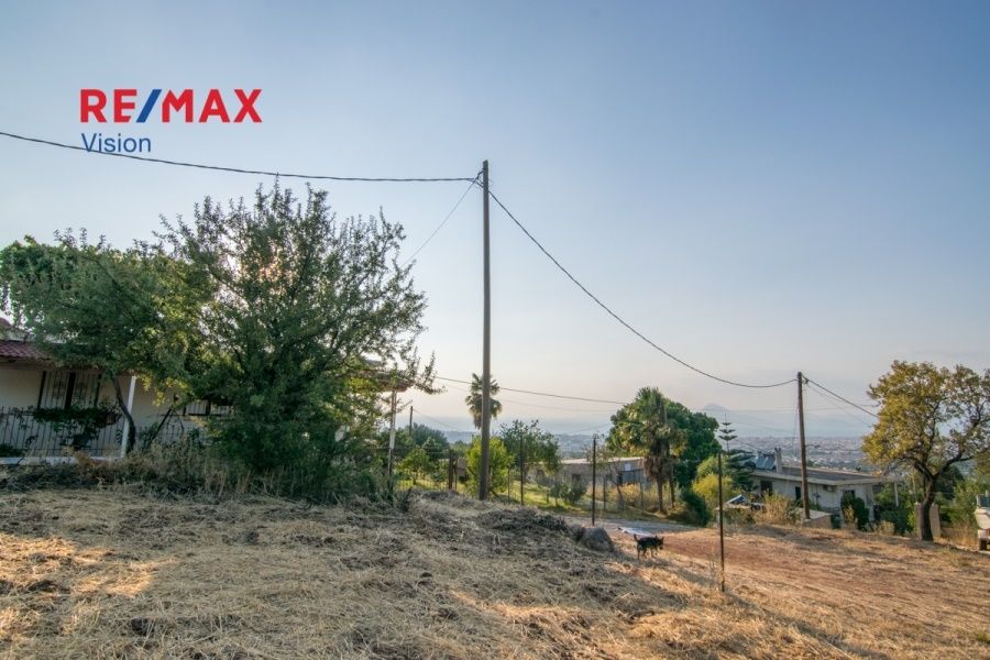 Οικόπεδο 1300 τ.μ., Προς πώληση, Μεσσατίδα - 10