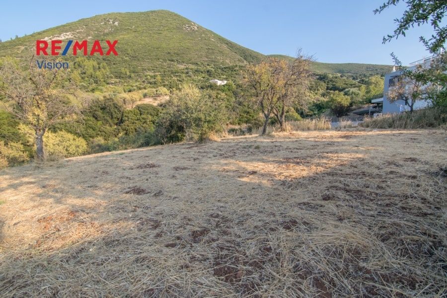 Οικόπεδο 1300 τ.μ., Προς πώληση, Μεσσατίδα - 11