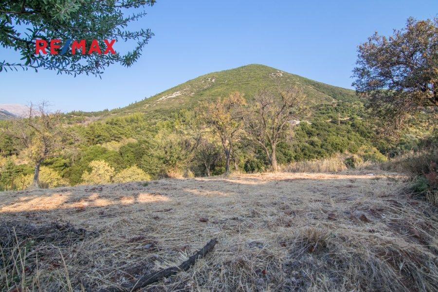 Οικόπεδο 1300 τ.μ., Προς πώληση, Μεσσατίδα - 12