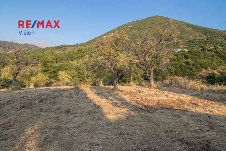 Οικόπεδο 1300 τ.μ., Προς πώληση, Μεσσατίδα - 2