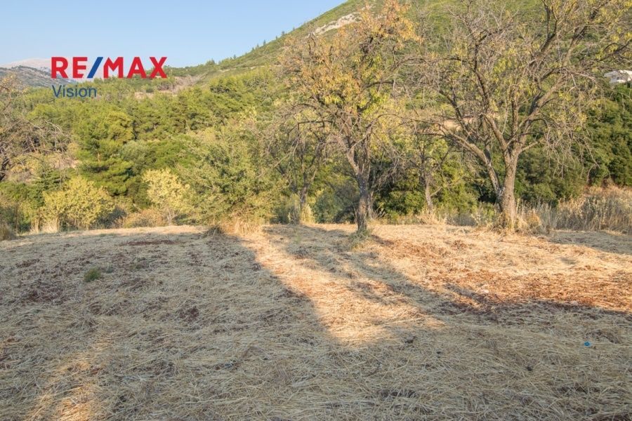 Οικόπεδο 1300 τ.μ., Προς πώληση, Μεσσατίδα - 3