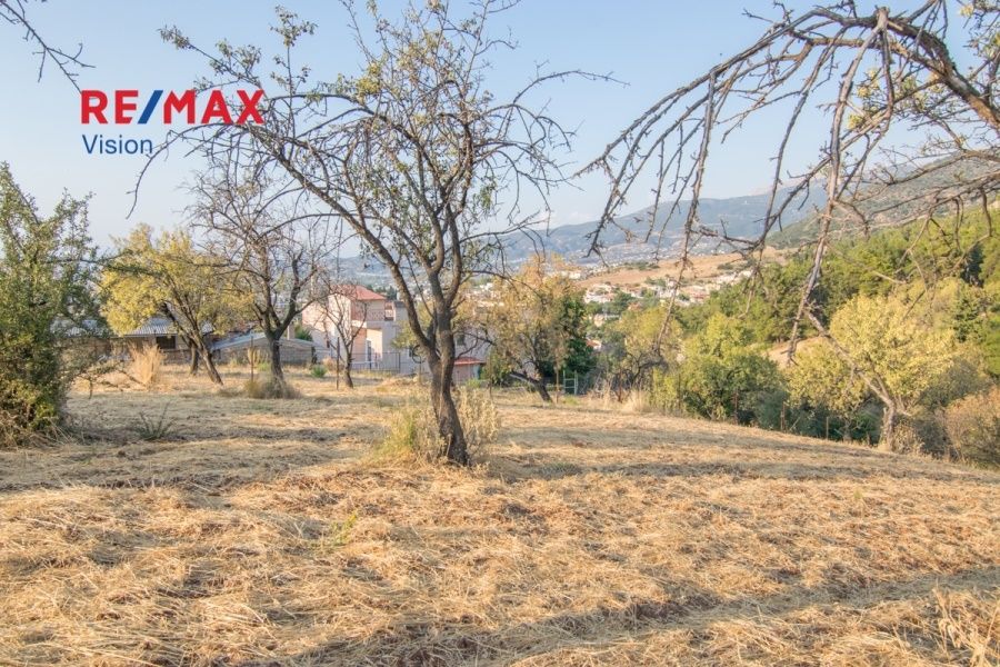 Οικόπεδο 1300 τ.μ., Προς πώληση, Μεσσατίδα - 5