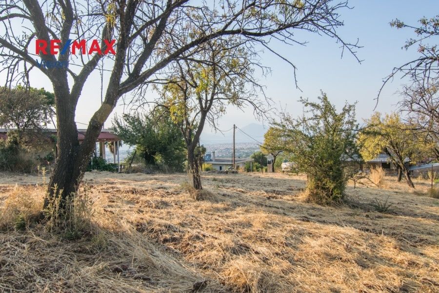 Οικόπεδο 1300 τ.μ., Προς πώληση, Μεσσατίδα - 6