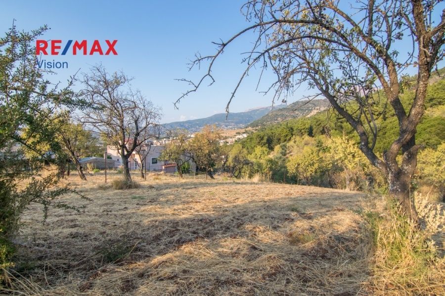Οικόπεδο 1300 τ.μ., Προς πώληση, Μεσσατίδα - 7