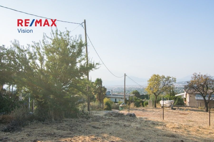 Οικόπεδο 1300 τ.μ., Προς πώληση, Μεσσατίδα - 9