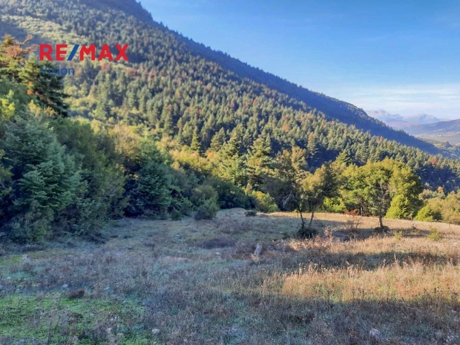 Οικόπεδο 7800 τ.μ., Προς πώληση, Καλάβρυτα - 3