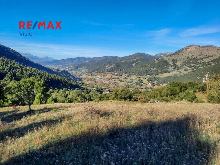 Οικόπεδο 7800 τ.μ., Προς πώληση, Καλάβρυτα - 4