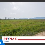 Οικόπεδο 20000 τ.μ., Προς πώληση, Δυτικής Αχαΐας, Νιφοραίικα (543417) - 1