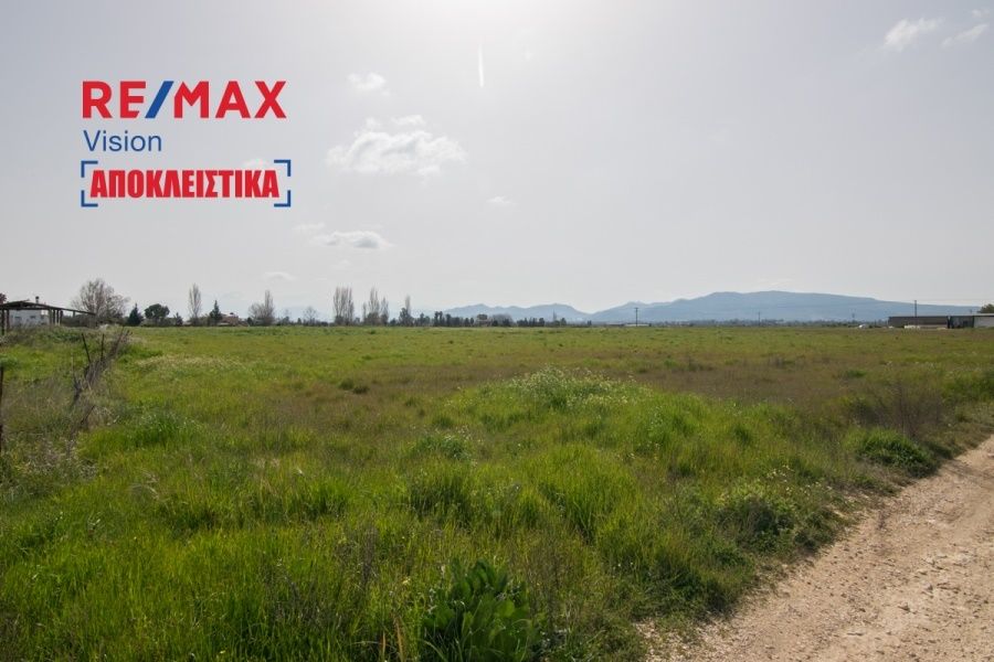 Οικόπεδο 20000 τ.μ., Προς πώληση, Δυτικής Αχαΐας, Νιφοραίικα - 2