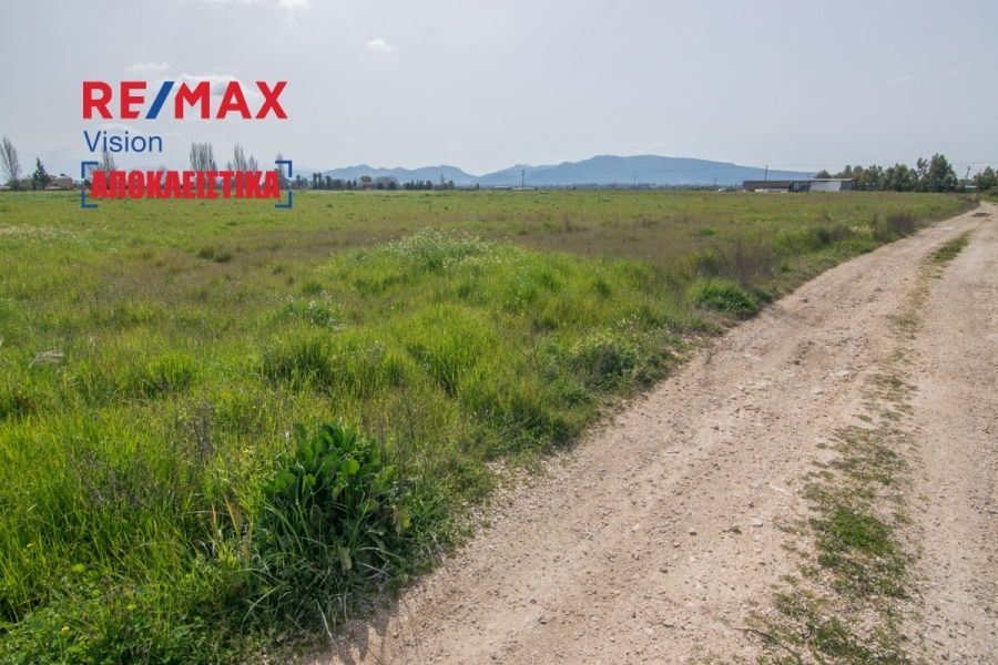 Οικόπεδο 20000 τ.μ., Προς πώληση, Δυτικής Αχαΐας, Νιφοραίικα - 3