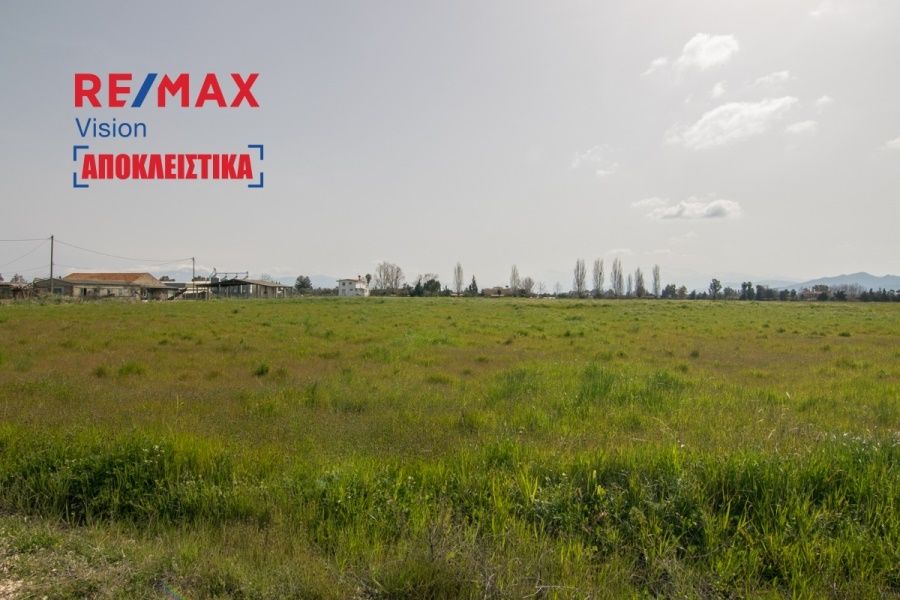 Οικόπεδο 20000 τ.μ., Προς πώληση, Δυτικής Αχαΐας, Νιφοραίικα - 4