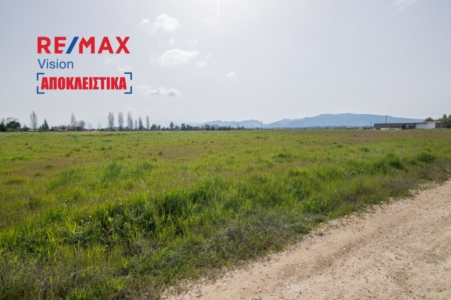 Οικόπεδο 20000 τ.μ., Προς πώληση, Δυτικής Αχαΐας, Νιφοραίικα - 5