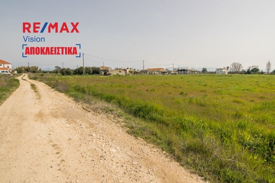Οικόπεδο 20000 τ.μ., Προς πώληση, Δυτικής Αχαΐας, Νιφοραίικα - 6