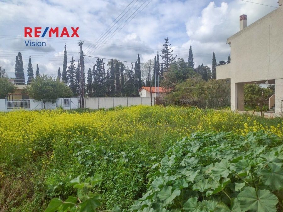 Οικόπεδο 790,81 τ.μ., Προς πώληση, Βόχα, Βραχάτι - 3