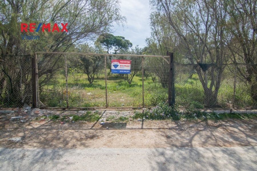 Οικόπεδο 12800 τ.μ., Προς πώληση, Δυτικής Αχαΐας, Νιφοραίικα - 3