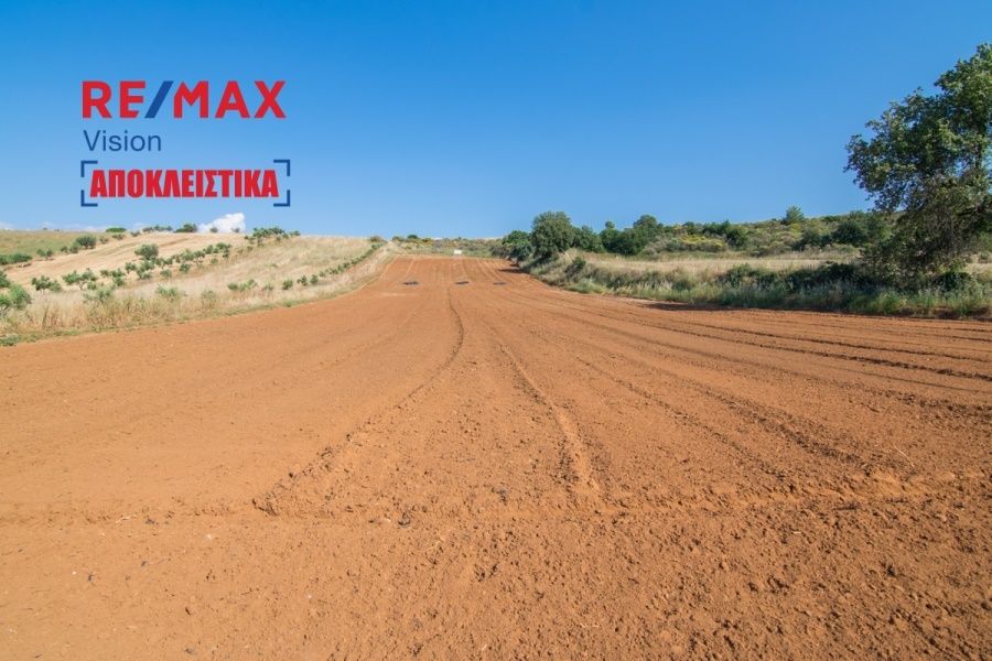 Οικόπεδο 7363 τ.μ., Προς πώληση, Λάρισσος, Λακκόπετρα - 2