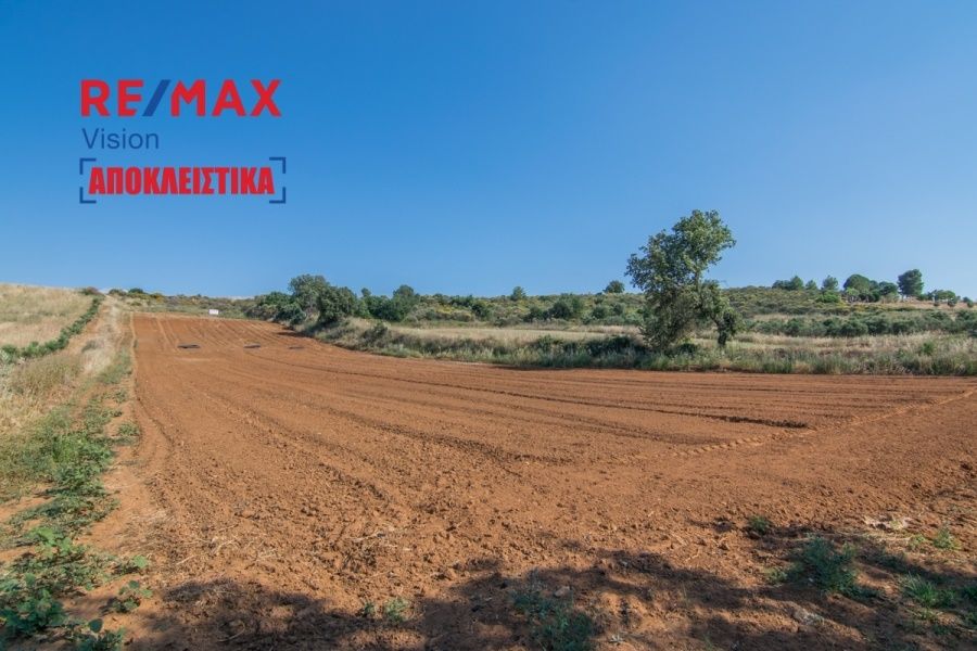Οικόπεδο 7363 τ.μ., Προς πώληση, Λάρισσος, Λακκόπετρα - 3