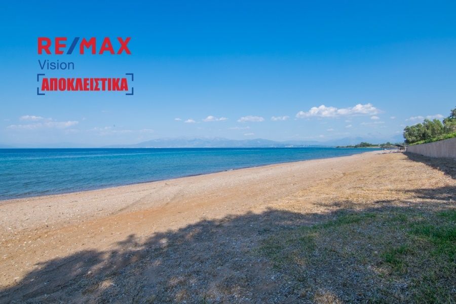 Οικόπεδο 7363 τ.μ., Προς πώληση, Λάρισσος, Λακκόπετρα - 5