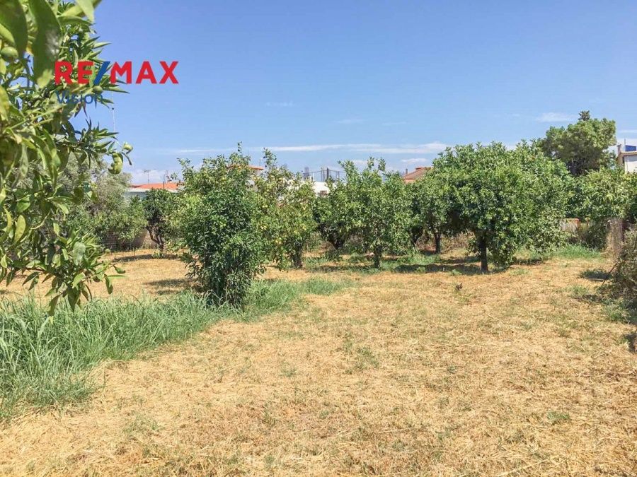 Οικόπεδο 538,93 τ.μ., Προς πώληση, Αιγιάλεια, Άβυθος - 3