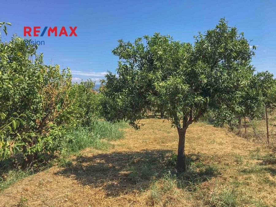 Οικόπεδο 538,93 τ.μ., Προς πώληση, Αιγιάλεια, Άβυθος - 4