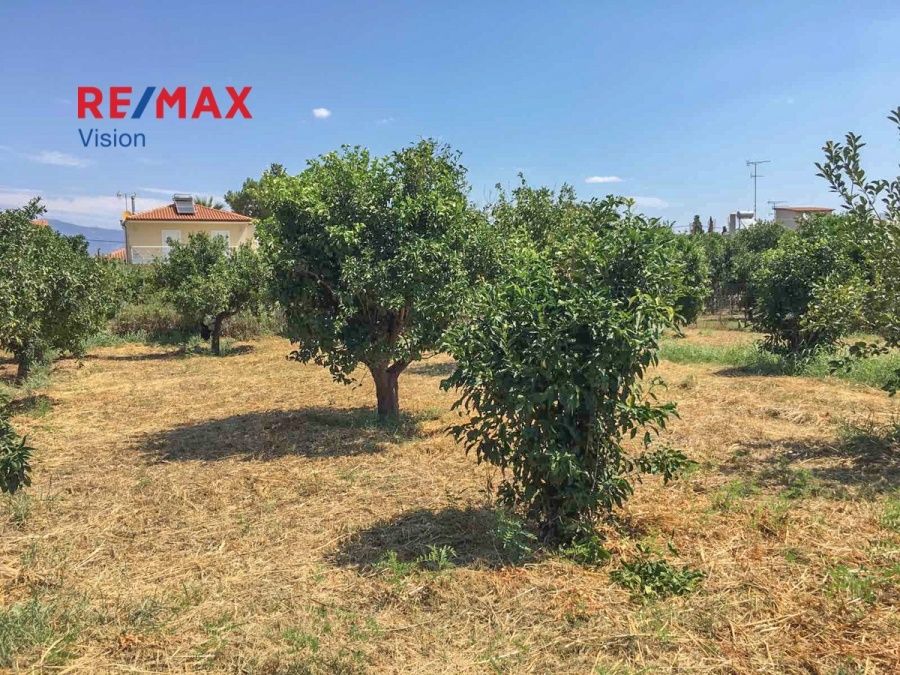 Οικόπεδο 538,93 τ.μ., Προς πώληση, Αιγιάλεια, Άβυθος - 5